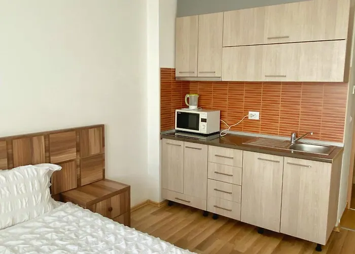 Apartament Vitan *